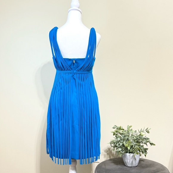 Trina Turk Venetia Fringe Dress, Size 6 - Picture 4 of 8